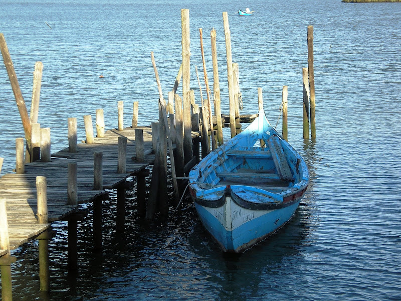 Barcos no Estuário do Sado