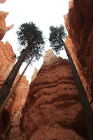 BryceCanyonNP_20100818_0303.JPG Photo
