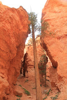 BryceCanyonNP_20100818_0332.JPG Photo