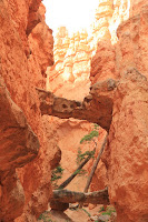 BryceCanyonNP_20100818_0328.JPG Photo