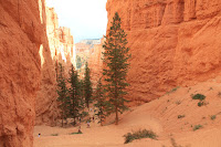 BryceCanyonNP_20100818_0339.JPG Photo