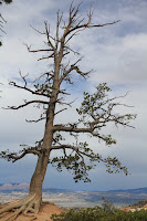 BryceCanyonNP_20100818_0361.JPG Photo