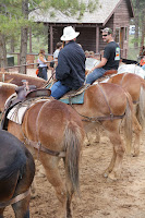 BryceCanyonNP_20100819_0416.JPG Photo
