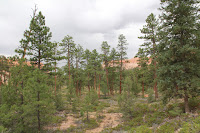 BryceCanyonNP_20100818_0097.JPG Photo