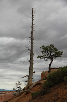 BryceCanyonNP_20100818_0057.JPG Photo