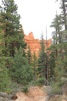 BryceCanyonNP_20100818_0179.JPG Photo