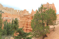 BryceCanyonNP_20100818_0180.JPG Photo