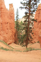 BryceCanyonNP_20100818_0151.JPG Photo