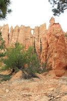 BryceCanyonNP_20100818_0157.JPG Photo