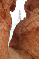 BryceCanyonNP_20100818_0125.JPG Photo