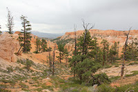 BryceCanyonNP_20100818_0127.JPG Photo