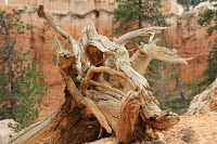 BryceCanyonNP_20100818_0131.JPG Photo