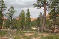 BryceCanyonNP_20100818_0093.JPG Photo