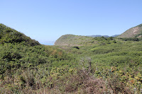 PointReyesNS_20100829_0032.JPG