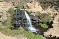 PointReyesNS_20100829_0044.JPG