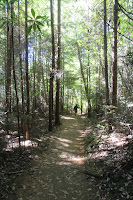 RedwoodEmpire_20100906_0482.JPG Photo