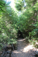 RedwoodEmpire_20100906_0484.JPG Photo