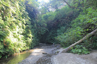RedwoodEmpire_20100906_0567.JPG