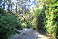 RedwoodEmpire_20100906_0569.JPG