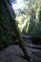 RedwoodEmpire_20100906_0590.JPG