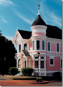 painted lady