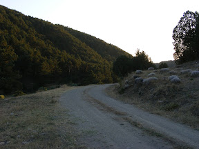 DSCF3723.jpg