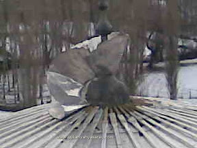 Image00046.jpeg