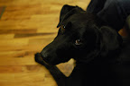 DSC_0514.JPG
