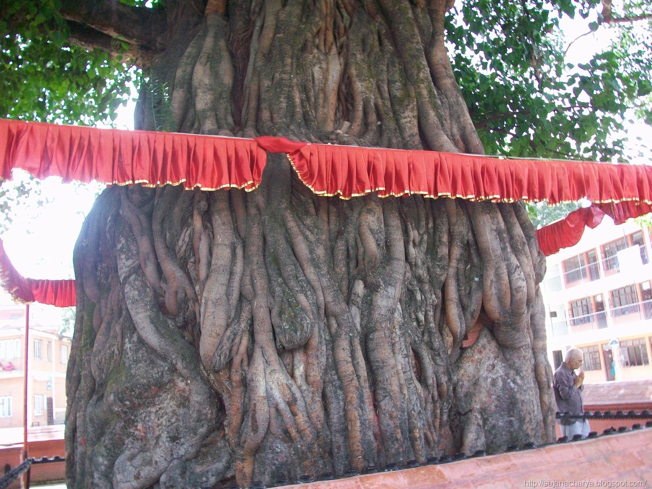 [DhumraBarahaBackside4.jpg]