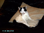 PICT0187.JPG