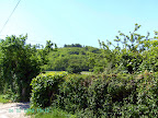 PICT0313.JPG