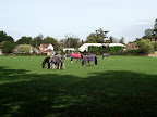 dscf7255.jpg