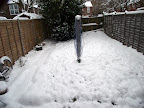 DSCF7704.JPG
