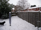 DSCF7703.JPG