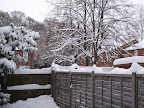 DSCF7735.JPG