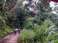 IMG_0104.JPG (Peretak, Malaysia) Photo