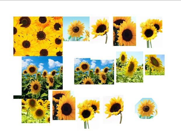 [SunflowersSheet2.jpg]