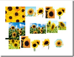 Sunflowers Sheet