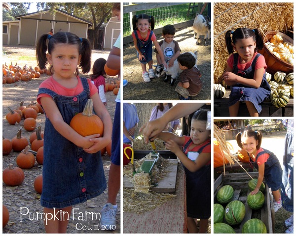 [clare pumpkin farm 2010[4].jpg]