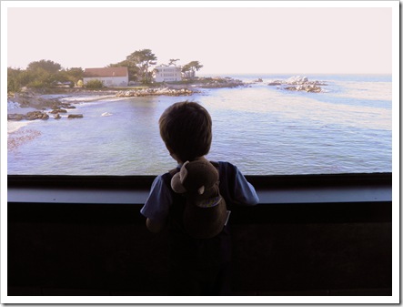 papi overlooking the ocean