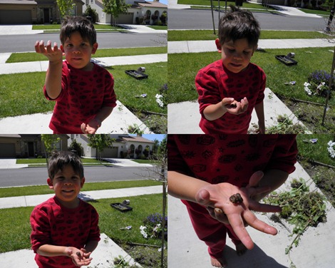 papi the worm farmer