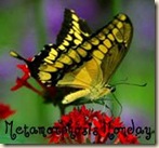metmonday metmonday