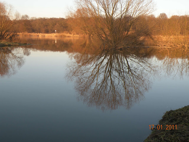 DSCN2550.JPG