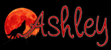 Ashleys bookshelf signature Ashleys bookshelf signature