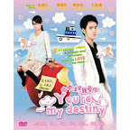 You're My Destiny 命中注定我爱你 (DVD)