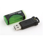 Kingston Data Traveler C10 USB 2.0 Flash Drive - 4GB