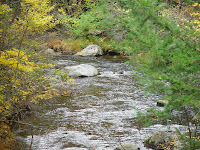 Some spattering of colors amongst the water and rocks.