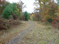 Off the beaten path on the Mass Central Rail Trail. There's much more to the rail trail than the well maintained paths.