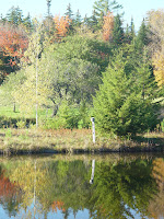 A smattering of tree color of the Weston Priory.
