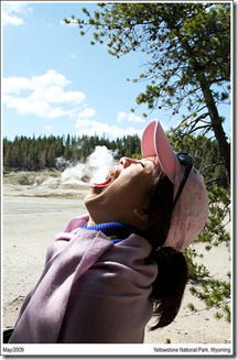 Norris Geyser Basin